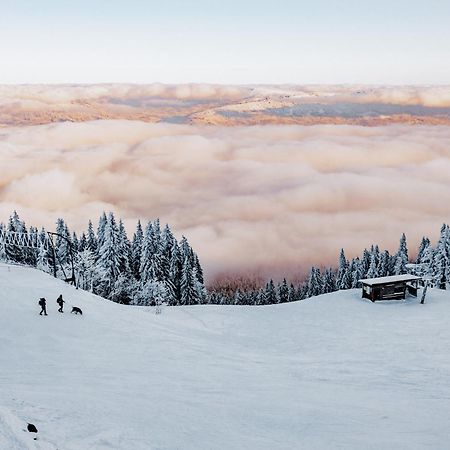 Orea Hotel Spicak Sumava Železná Ruda エクステリア 写真