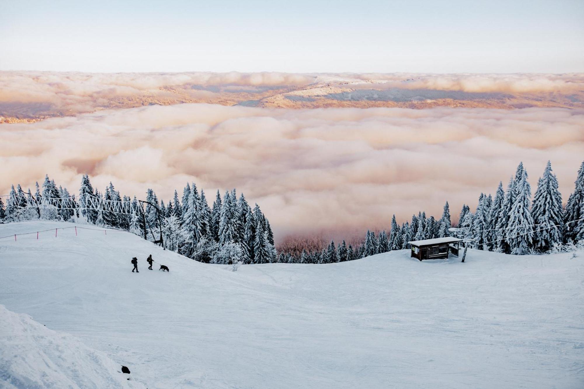 Orea Hotel Spicak Sumava Železná Ruda エクステリア 写真